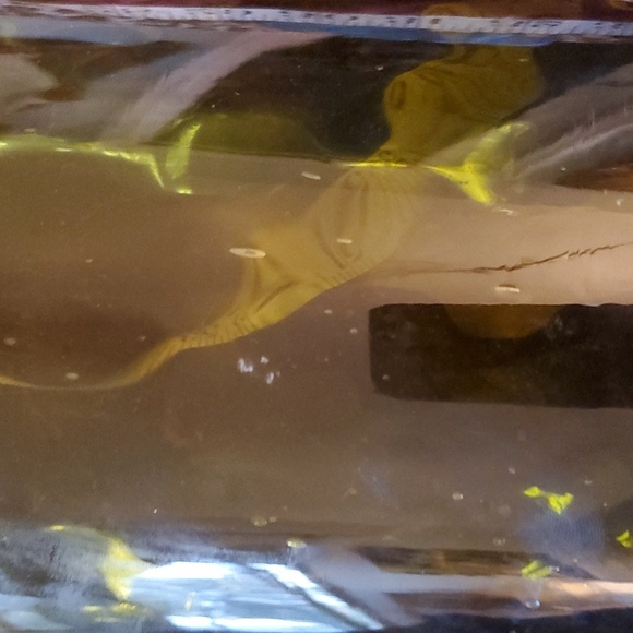 Antique Olive Green Glass Floor vase - Picture 13 of 14